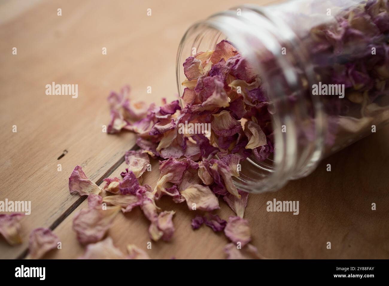In questa scena autunnale, i fiori secchi riposano su uno sfondo rustico in legno per essere conservati in vasetti mason. I vasetti conserveranno i petali di rosa essiccati. Foto Stock