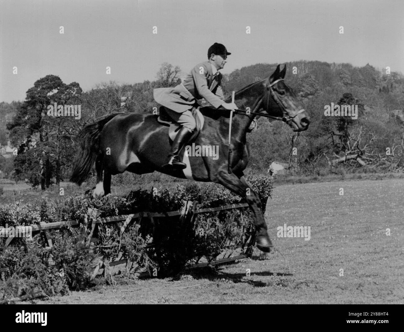 Brian Crago, di Mt Barker, S.A., membro della squadra equestre olimpica australiana che ora si sta allenando in Inghilterra, su Dandy, uno dei cavalli della squadra, saltando al Guildford Horse Show il 7 maggio. Dandy ha vinto il terzo posto nella classe Handy Hunter a Guildford e il quarto il 12 maggio nel salto di grado C al Royal Windsor Horse Show. 6 giugno 1955. Foto Stock