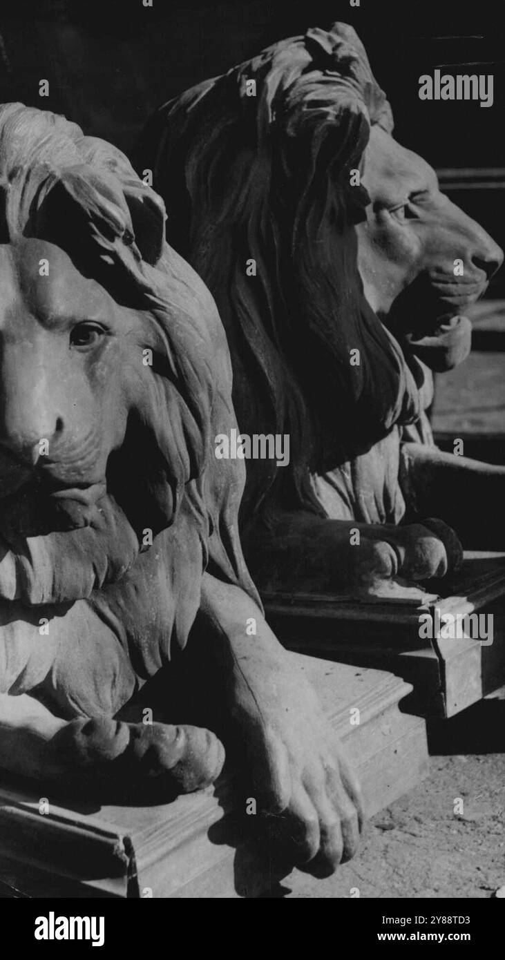 Una delle due statue di leoni repliche dei leoni Landseer a Trafalgar Square, da erigere nei Giardini Botanici di Sydney. Non la controversa zampa rovesciata. 20 gennaio 1946. Foto Stock
