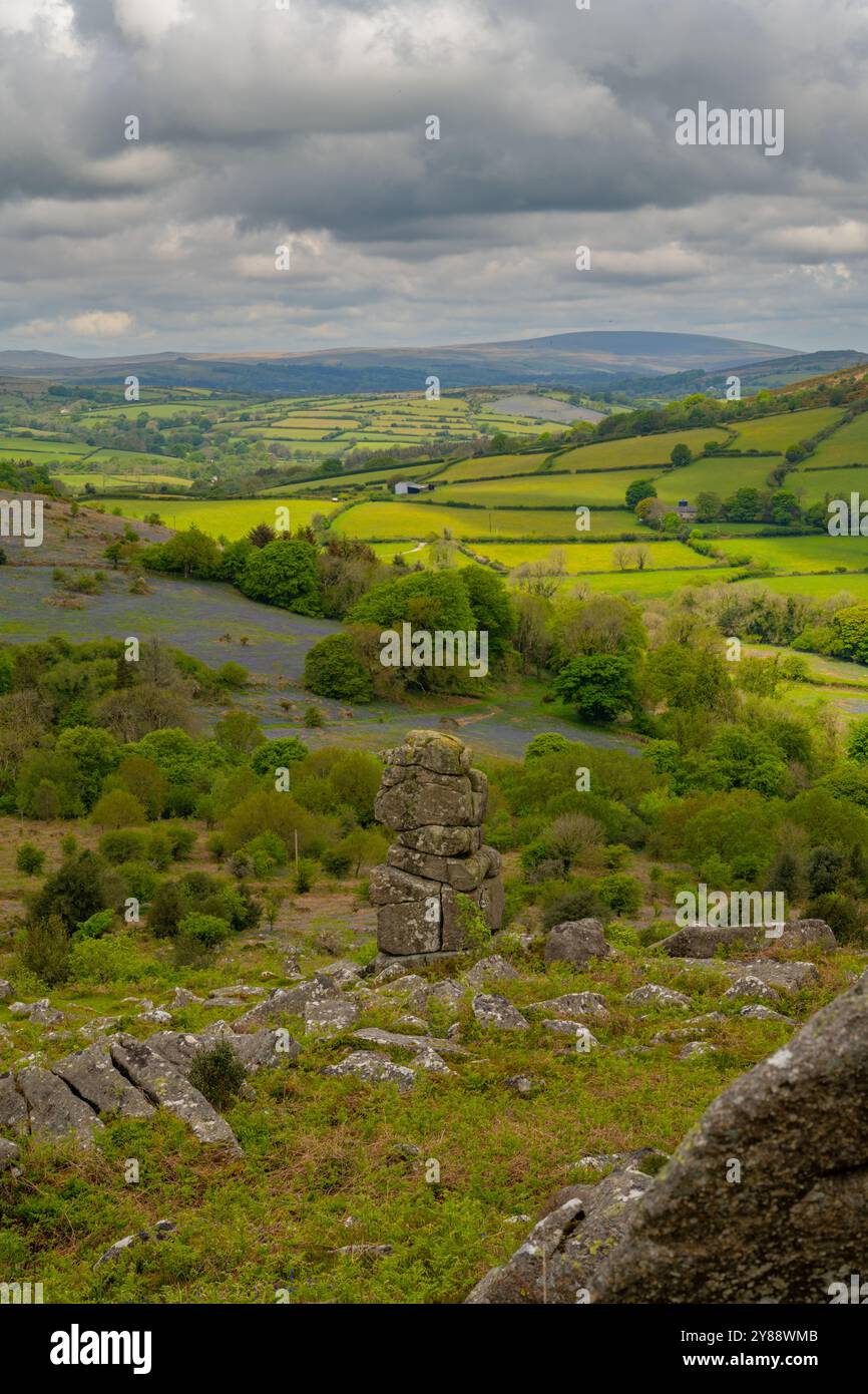 Guardando in basso su Bowersman Nose Dartmoor Devon da Hayne Down Foto Stock