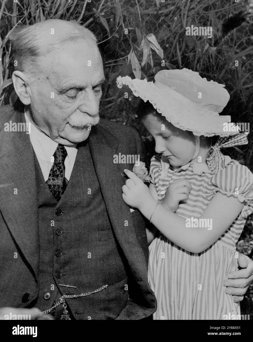 Diana Gibson a tre anni, infila un fiore su suo nonno e barone della carne, Sir William Angliss. La nipote di tre anni di Sir William Angliss, Diana, gli spilla un fiore nell'asola per il 84esimo compleanno di Sir William oggi. 3 febbraio 1949. Foto Stock