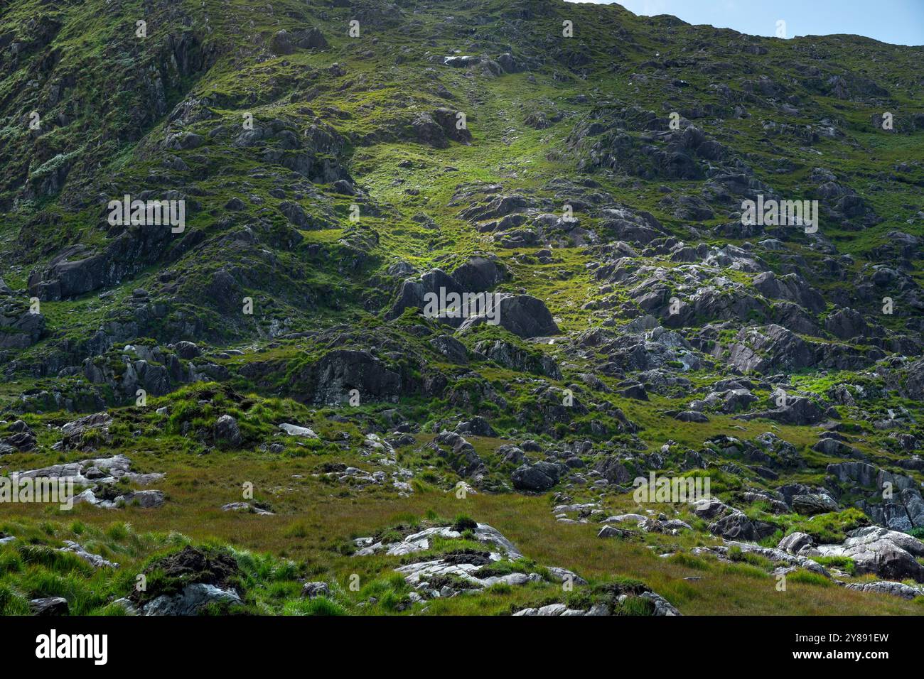 Gearhasallagh Hillside a Kerry, Irlanda Foto Stock