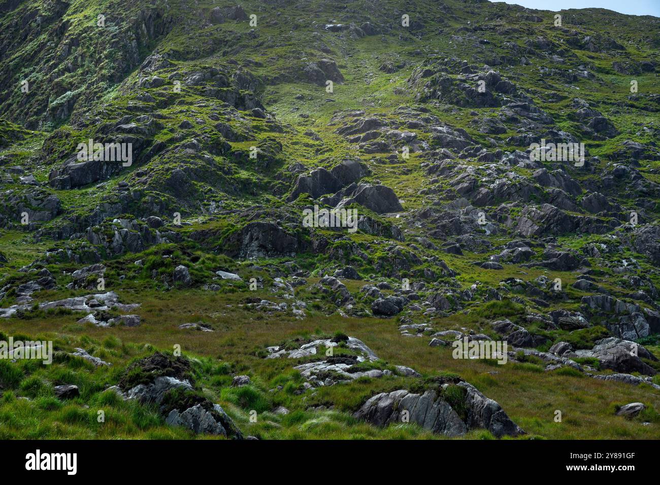 Gearhasallagh Hillside a Kerry, Irlanda Foto Stock