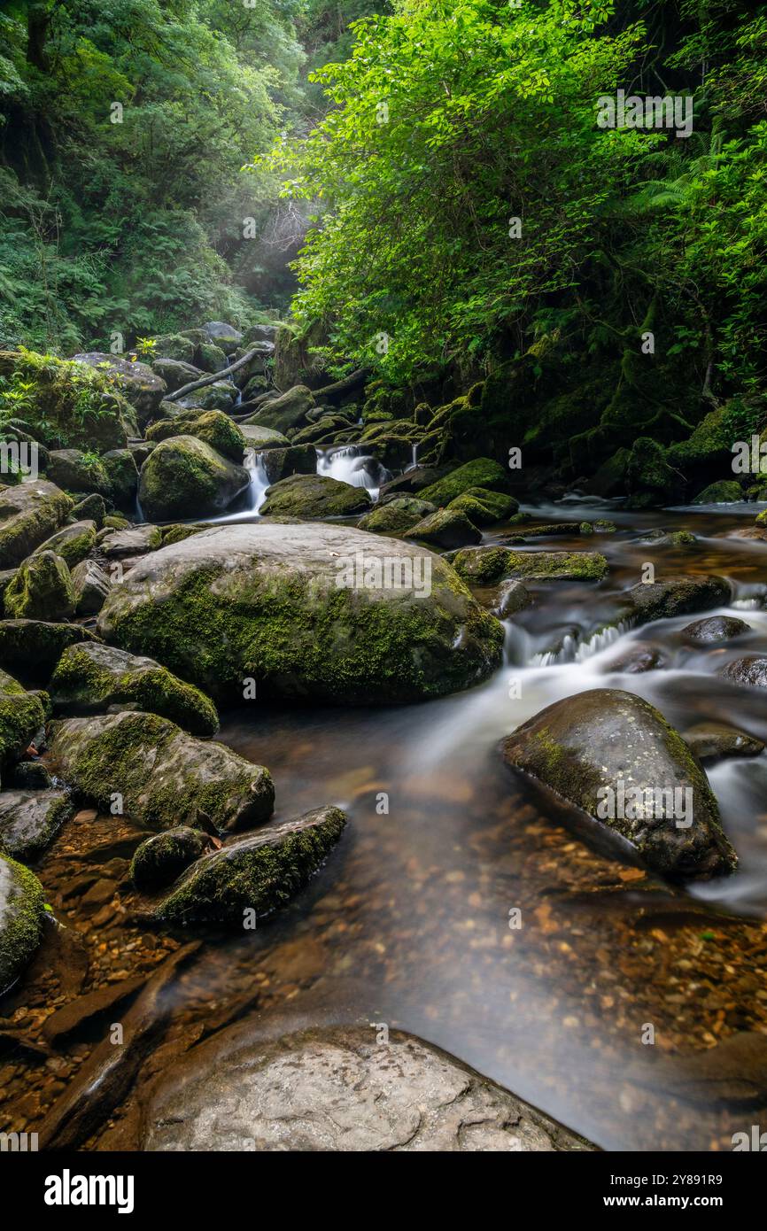 La cascata di Torc è circondata da una vegetazione lussureggiante nella contea di Kerry Foto Stock