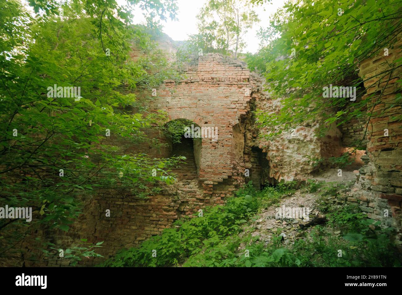 Enigmatiche rovine abbracciate dalla lussureggiante vegetazione della natura. Foto Stock