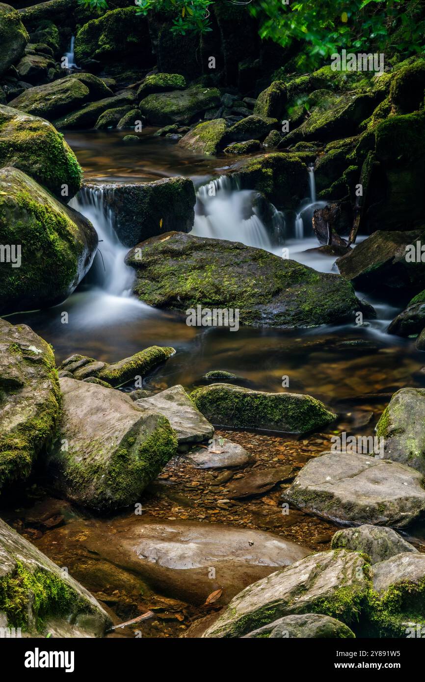 La cascata di Torc è circondata da una vegetazione lussureggiante nella contea di Kerry Foto Stock