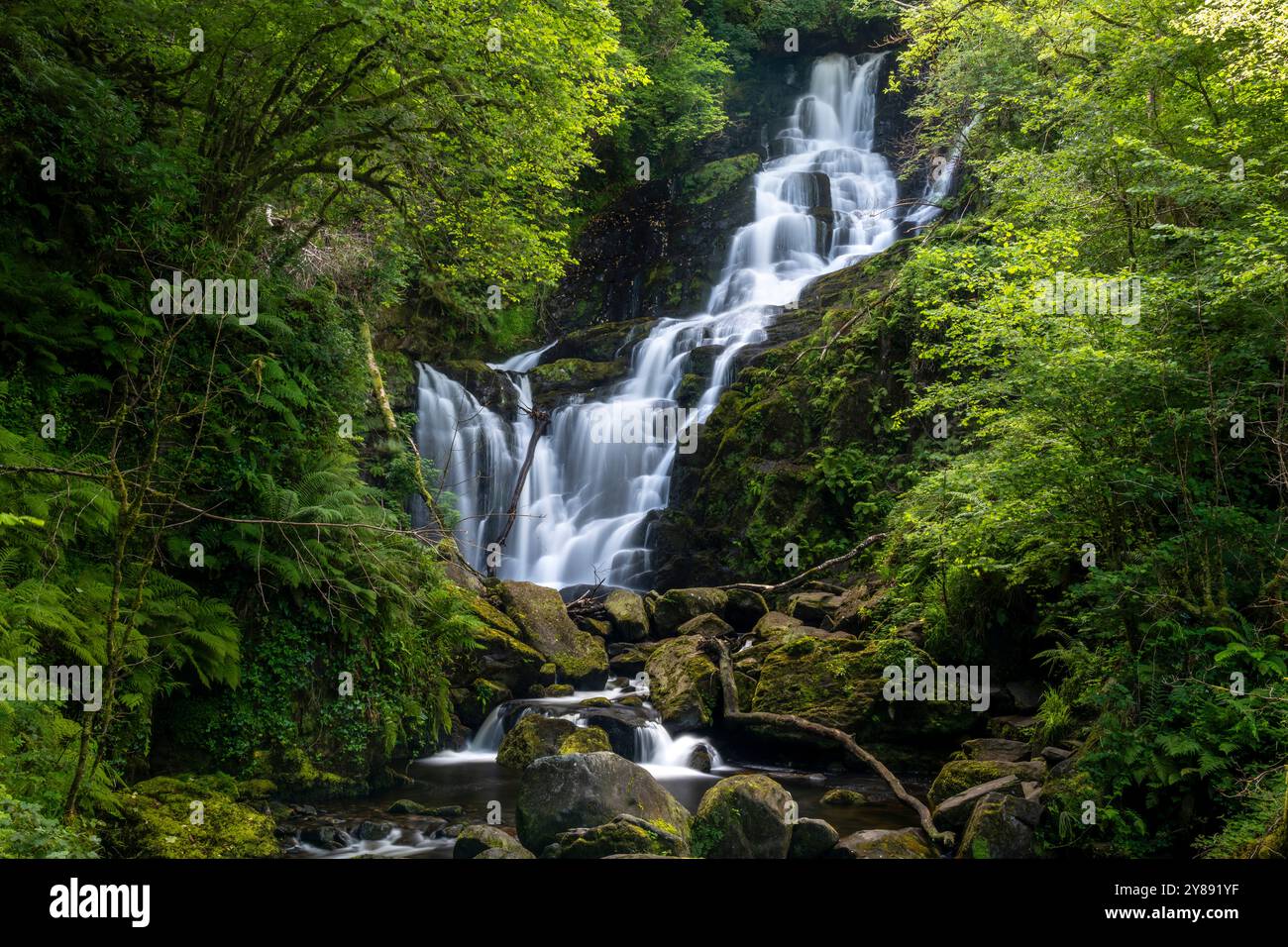 La cascata di Torc è circondata da una vegetazione lussureggiante nella contea di Kerry Foto Stock