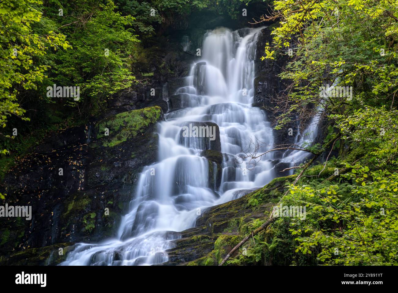 La cascata di Torc è circondata da una vegetazione lussureggiante nella contea di Kerry Foto Stock