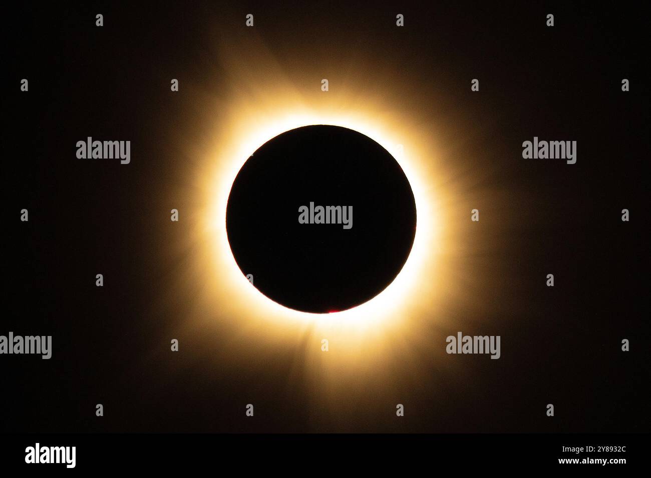 L'eclissi solare dell'8 aprile 2024, nota anche come la grande eclissi nordamericana, Foto Stock