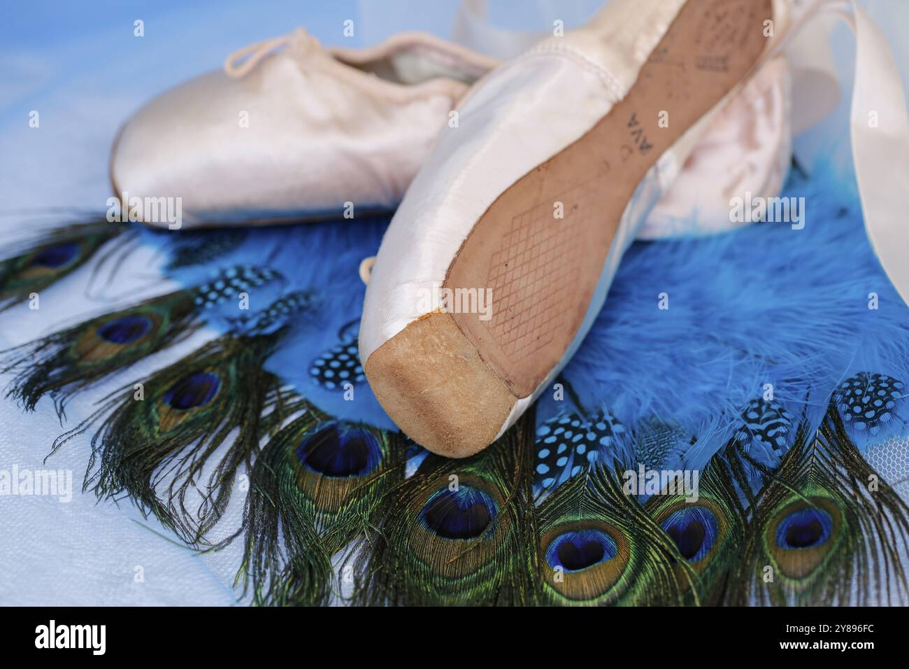 Scarpe da balletto, scarpe pointe su piume di pavone, STILL Life, scarpe da ballo rivestite con raso di colore rosa chiaro, suola in pelle, studio, Germania, Europa Foto Stock