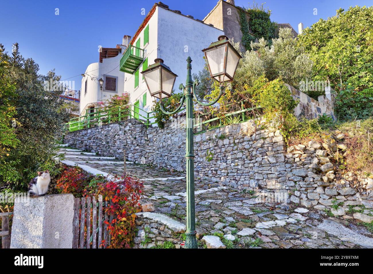 Pittoresco vicolo nella vecchia Chora dell'isola di Alonissos, Grecia, Europa Foto Stock