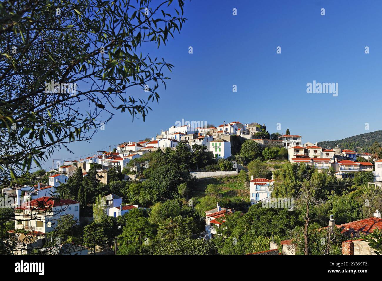Le case tradizionali nella vecchia Chora dell'isola di Alonissos, Grecia, Europa Foto Stock