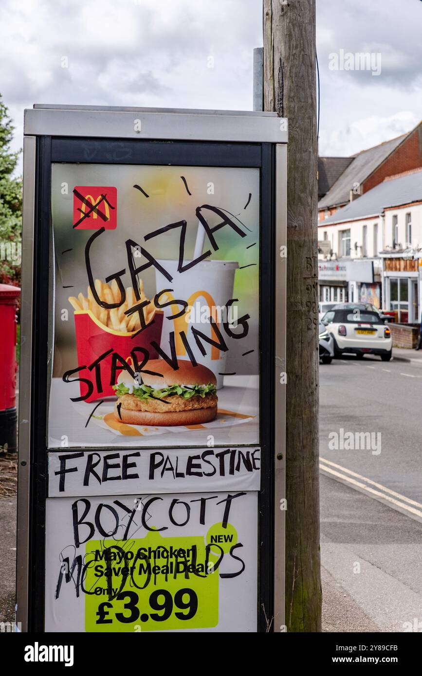 Graffiti Pro-Gaza su una scatola telefonica, Oxford, Regno Unito Foto Stock