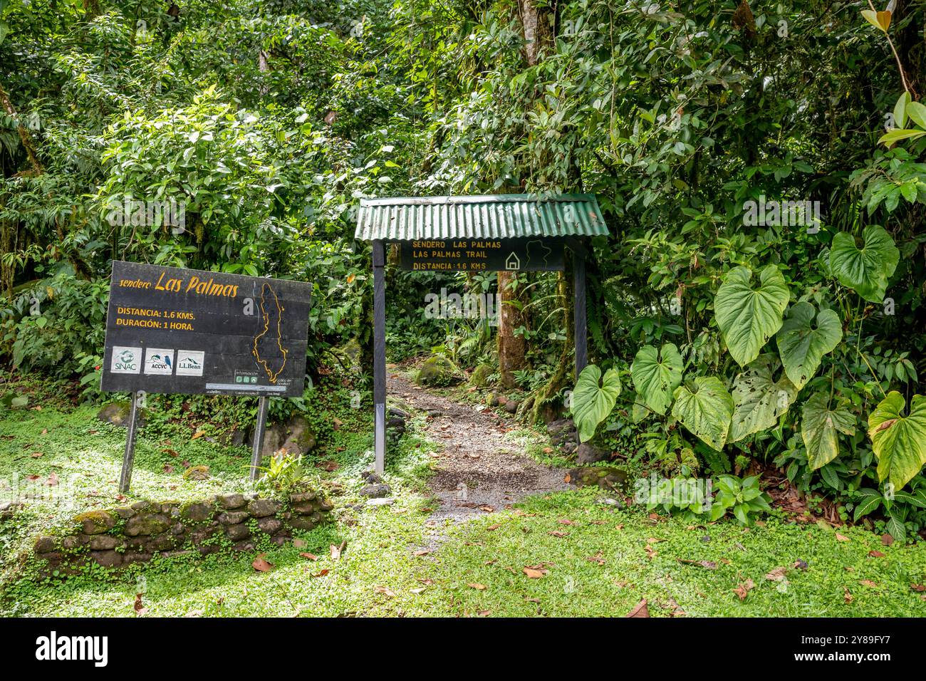 Ingresso a un sentiero nel Parco Nazionale Braulio Carrillo, Costa Rica, con cartelli informativi e vegetazione lussureggiante. Foto Stock