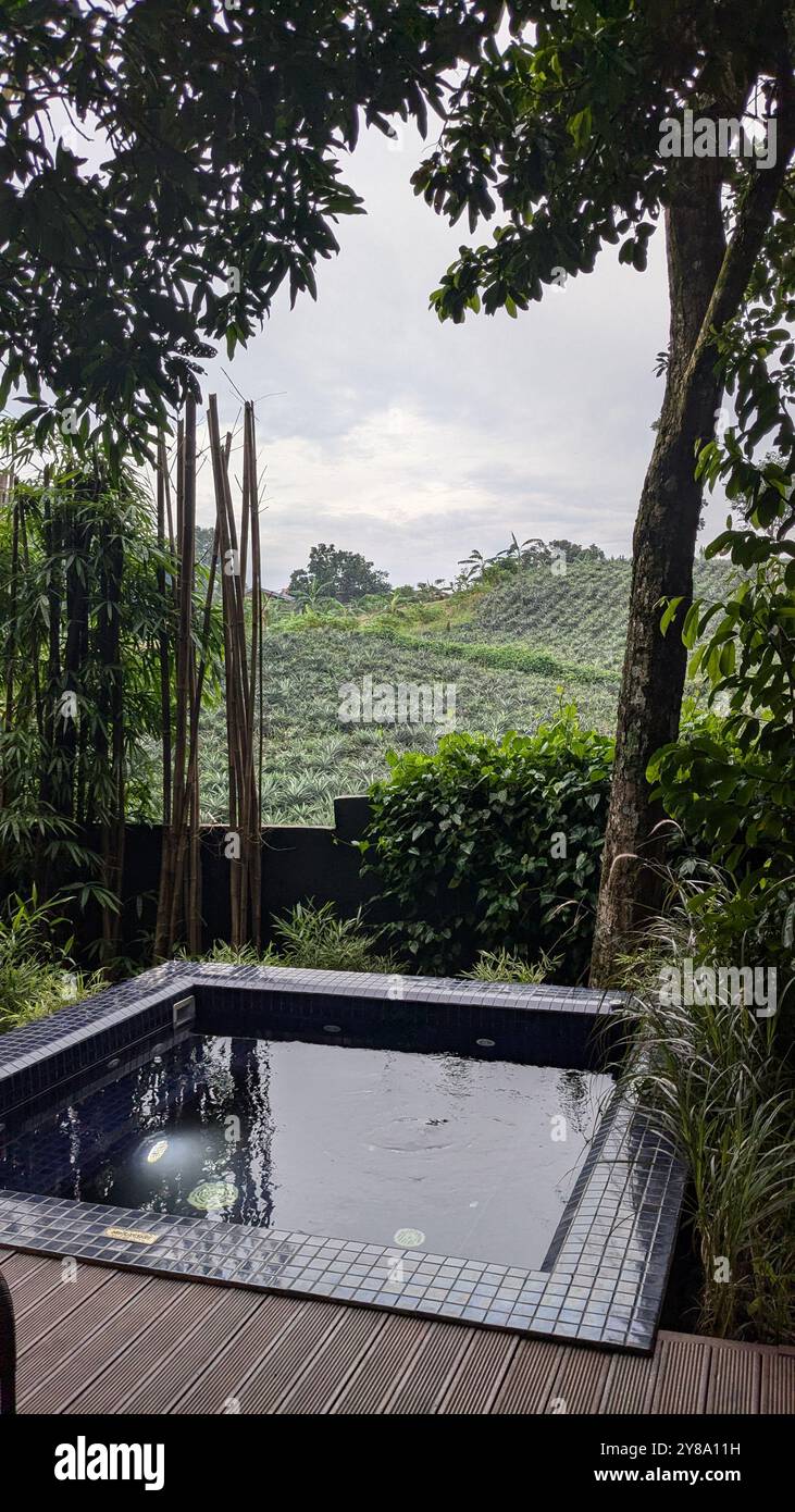 Jacuzzi con vista su una fattoria di ananas - Immagine stock catturata con smartphone