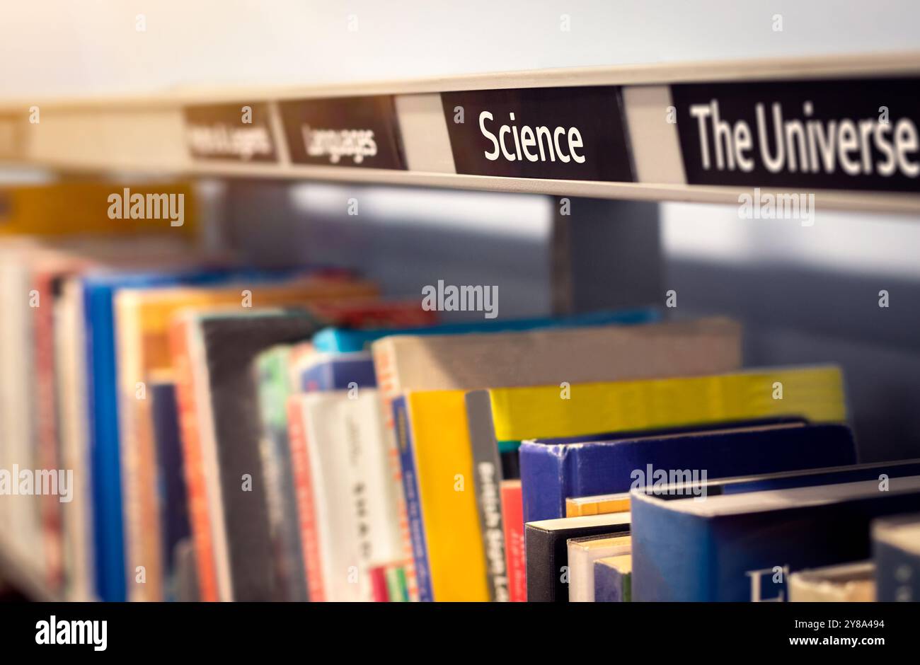 Libri impilati sugli scaffali sotto categorie di scienza e universo. Libreria di saggistica o scena di libreria che raffigura libri di riferimento fattuali. Foto Stock