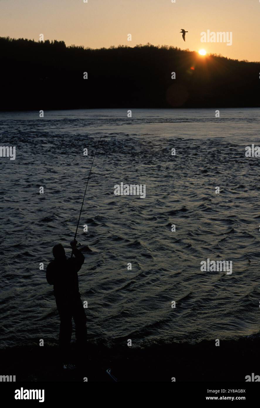 L'idromassaggio Saltstraumen, vicino ai pittoreschi fiordi di Bodo, Norvegia, offre famose zone di pesca. Foto Stock