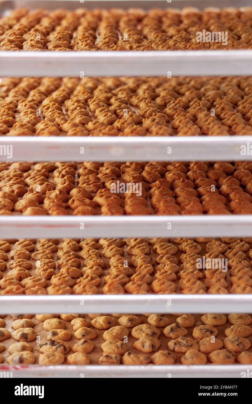 Vassoi impilati di biscotti appena sfornati Foto Stock