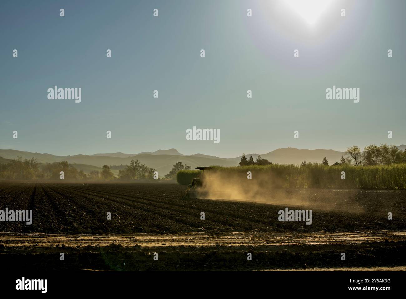 Il trattore ara il campo asciutto all'alba nella California Central Valley Foto Stock