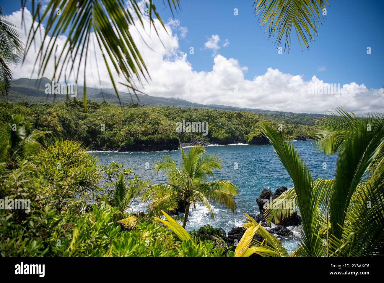 Le acque blu della baia hawaiana incorniciate da palme al Kahanu Garden Foto Stock