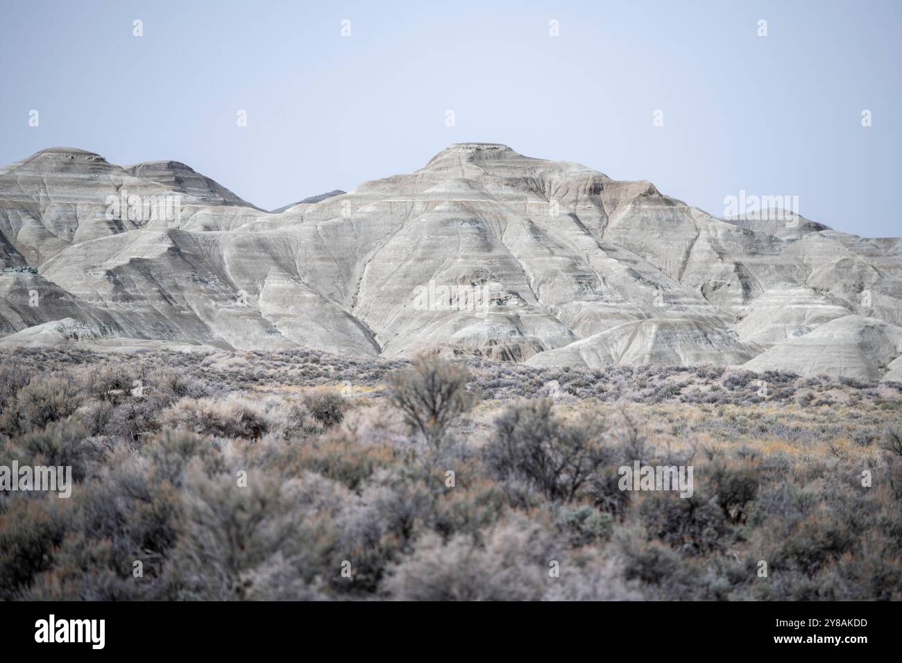Vista monotona del monte Sage Creek grigio bianco nel Wyoming meridionale Foto Stock