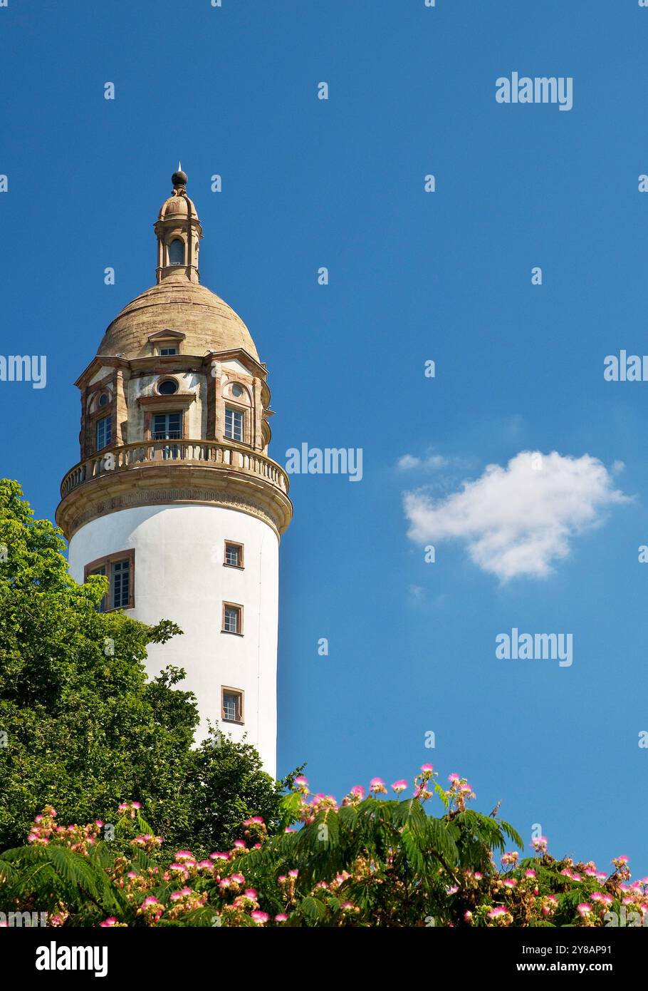 torre del Castello di Hoechst (Vecchio Castello di Hoechst) a Francoforte-Hoechst, Germania, Assia, Francoforte sul meno Foto Stock