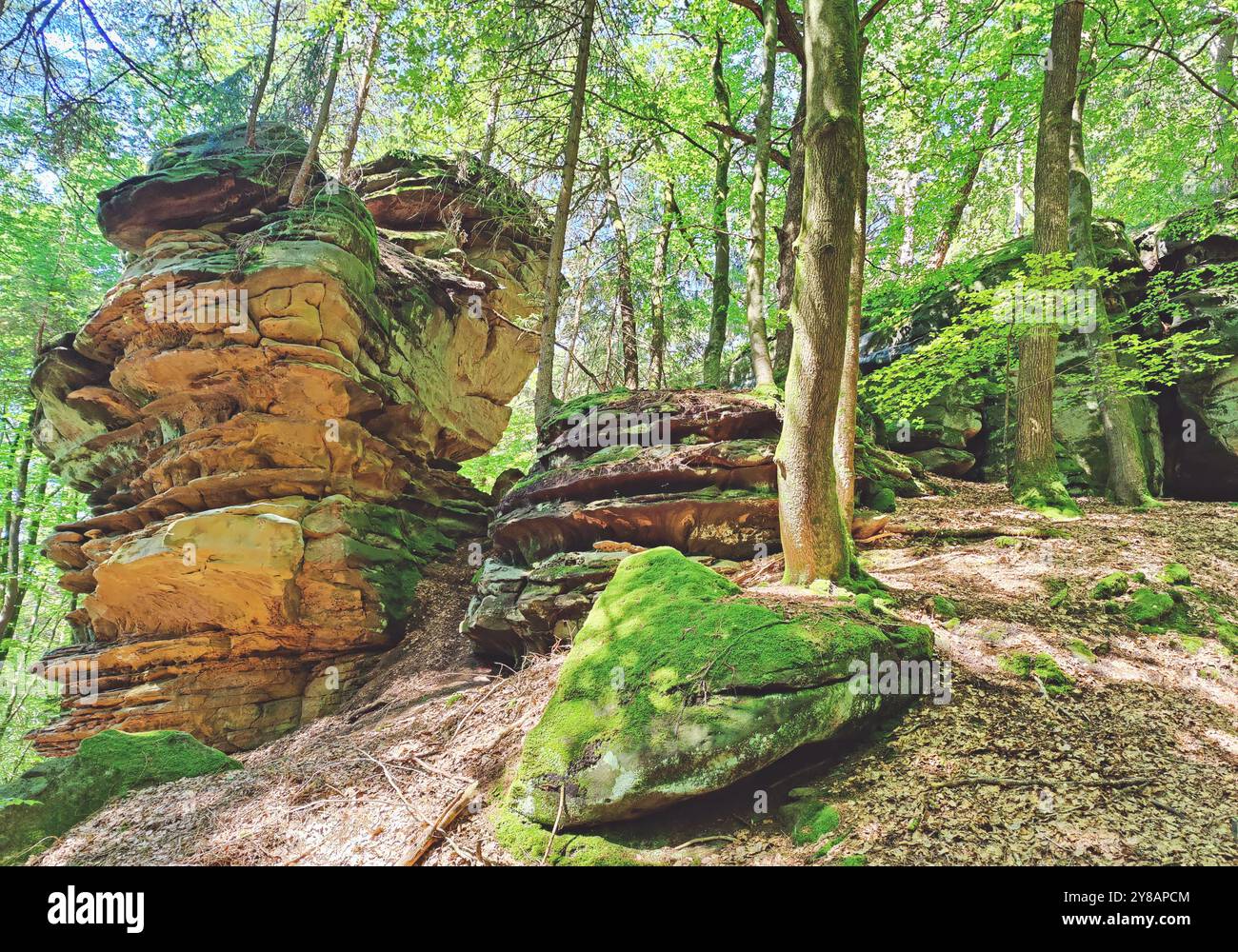 Bizzarri paesaggi rocciosi di arenaria rossa nel Sauerschweiz, nel Parco naturale Suedeifel, Germania, Renania-Palatinato, nel Parco naturale Suedeifel, Irrel Foto Stock