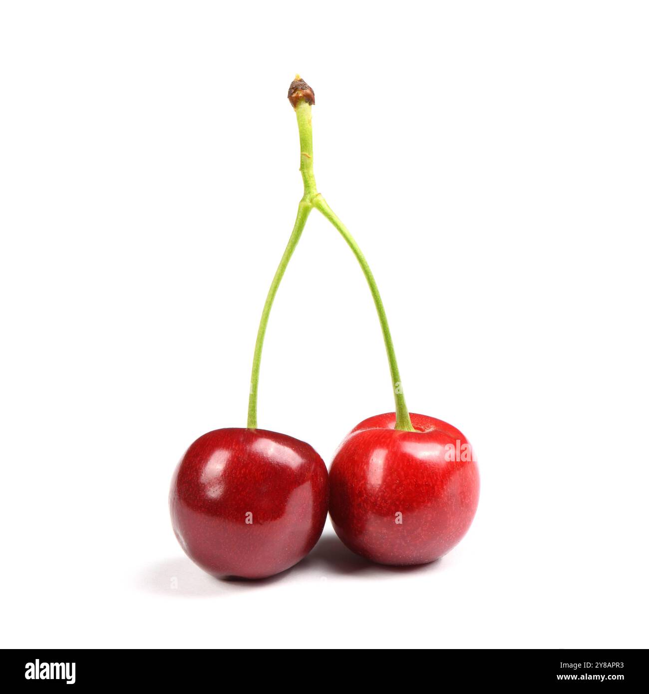 Brutta ciliegia su sfondo bianco primo piano. Concetto di frutta brutta. Cibo divertente. Cibo viziato. Foto Stock