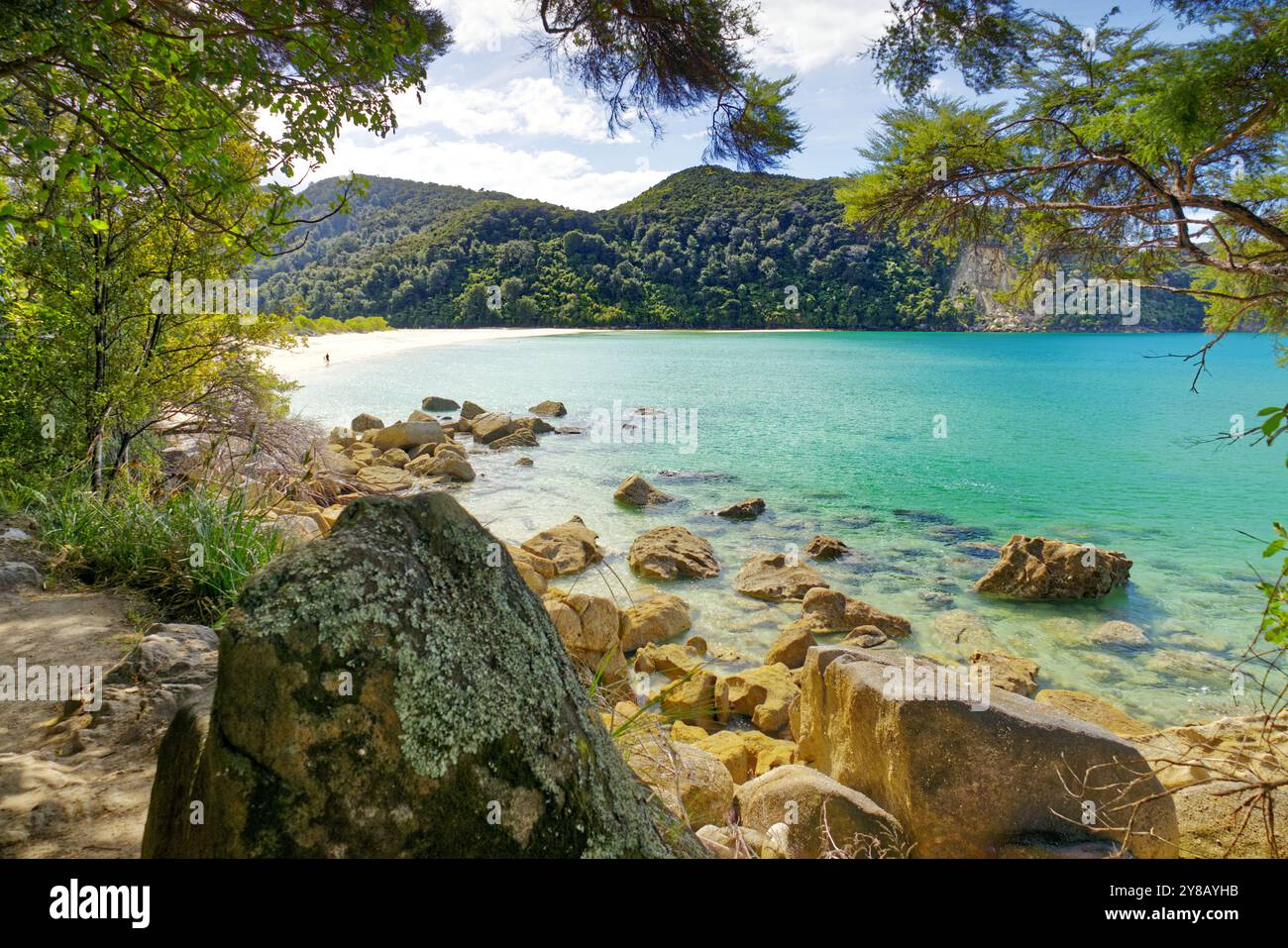 Abel Tasman National Park, South Island, nuova Zelanda - riserva naturale famosa per il suo paesaggio costiero, le acque limpide, le spiagge sabbiose e il Bush nativo Foto Stock