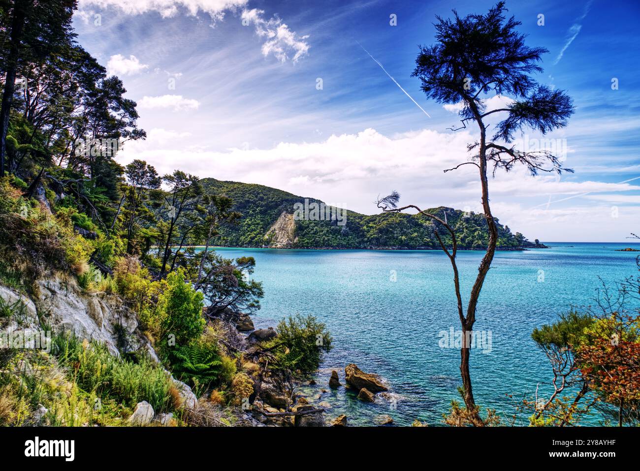 Abel Tasman National Park, South Island, nuova Zelanda - riserva naturale famosa per il suo paesaggio costiero, le acque limpide, le spiagge sabbiose e il Bush nativo Foto Stock