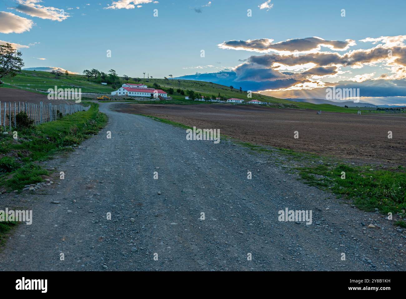 Sulla strada tra Punta Arenas e Puerto Natales, Patagonia, Cile. Foto Stock