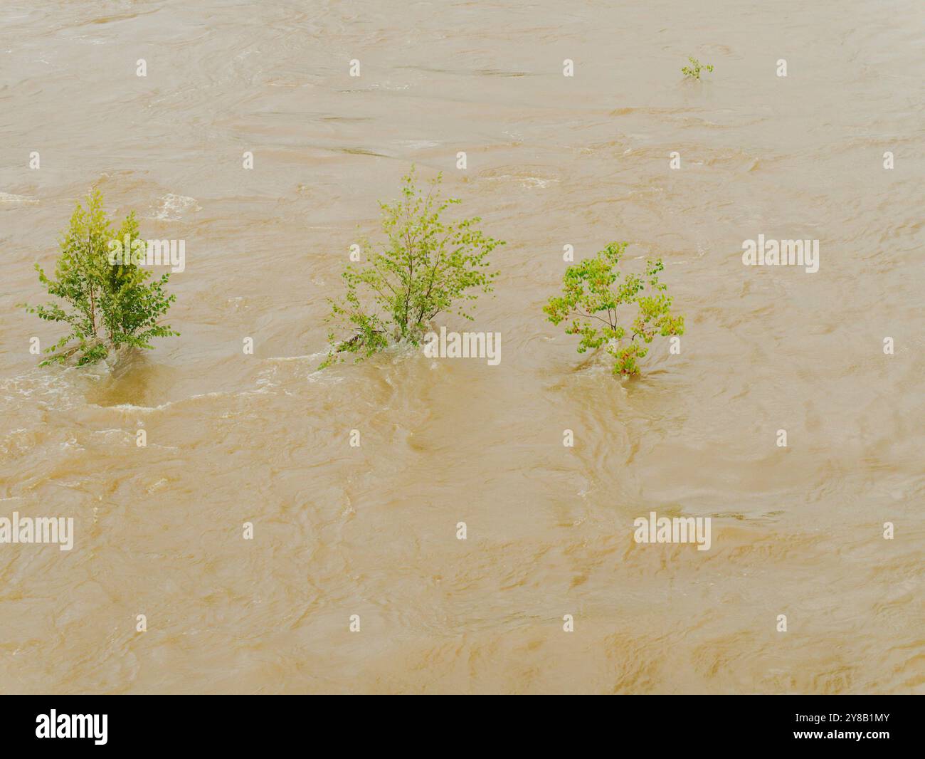 Ampia visuale dall'alto verso il basso per un rapido movimento, slancinante e fangoso flusso d'acqua di fiume marrone argilla che rotola con tappi bianchi. Tre cime di alberi verdi Foto Stock