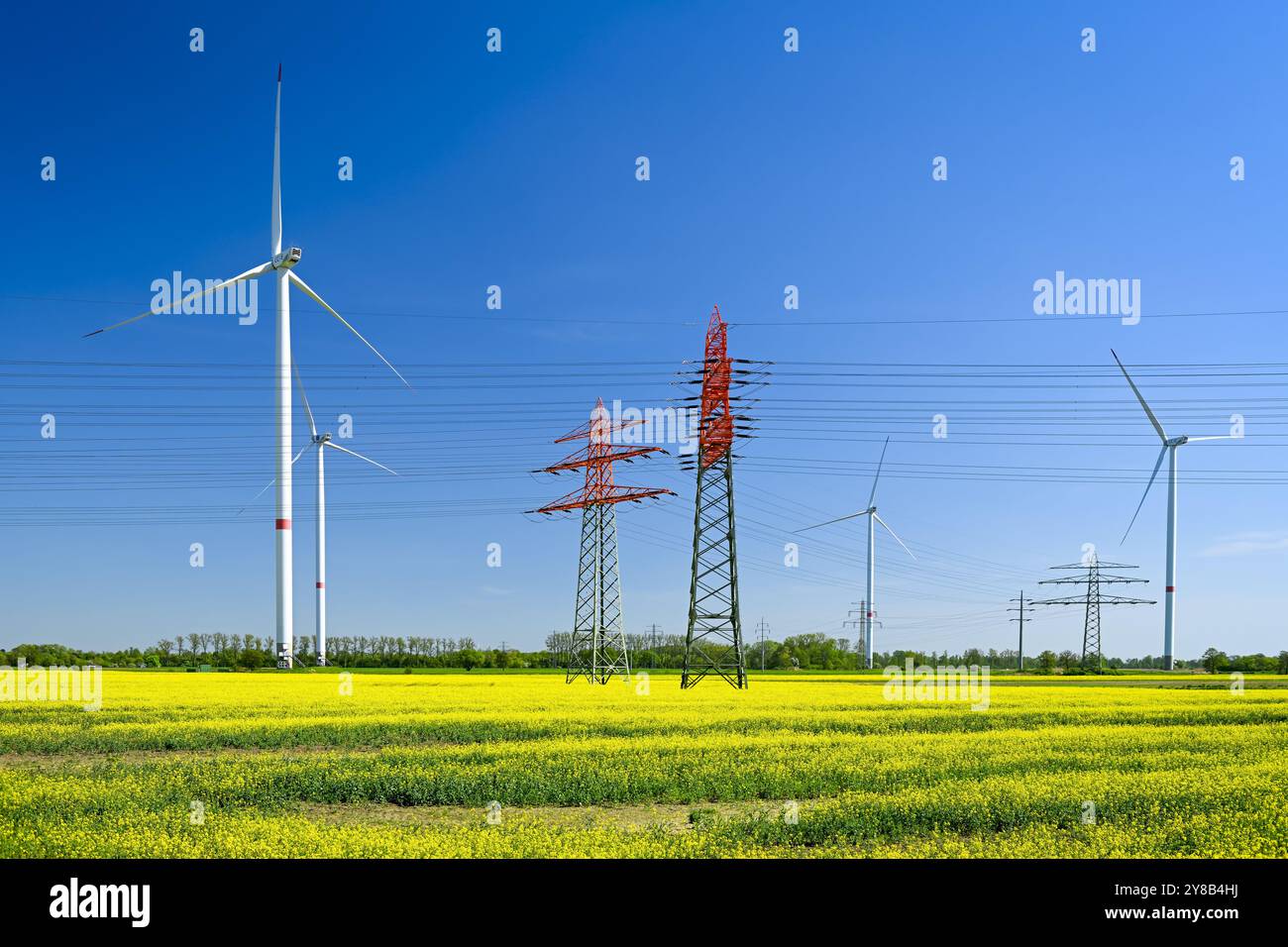 Piloni elettrici, turbine eoliche e campi di colza a Curslack, Amburgo, Germania, Strommasten, Windräder und Rapsfelder a Curslack, Germania Foto Stock