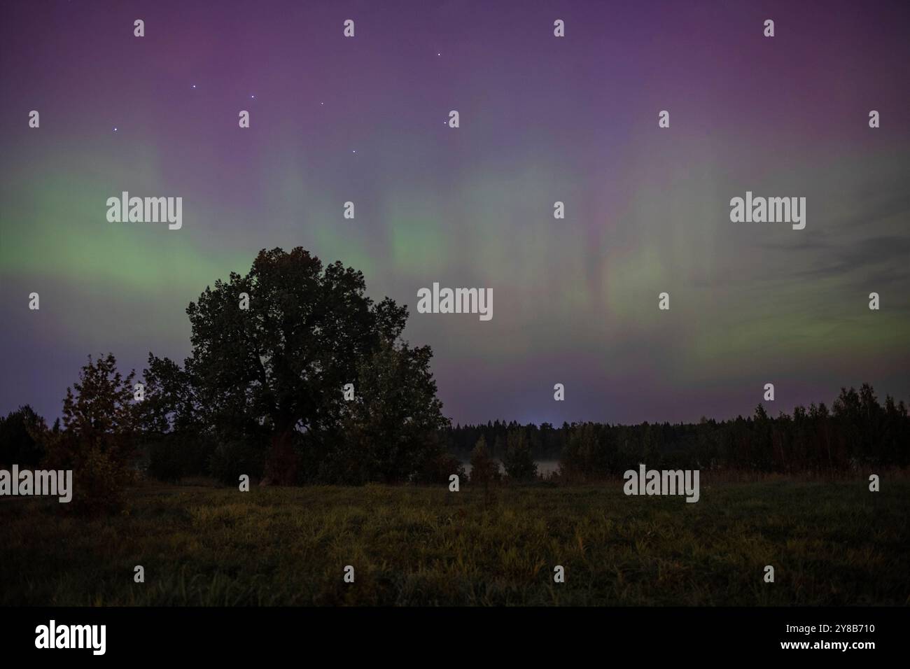 La costellazione dell'Orsa maggiore e l'Aurora boreale in una notte di settembre. Regione di Leningrado, Russia Foto Stock