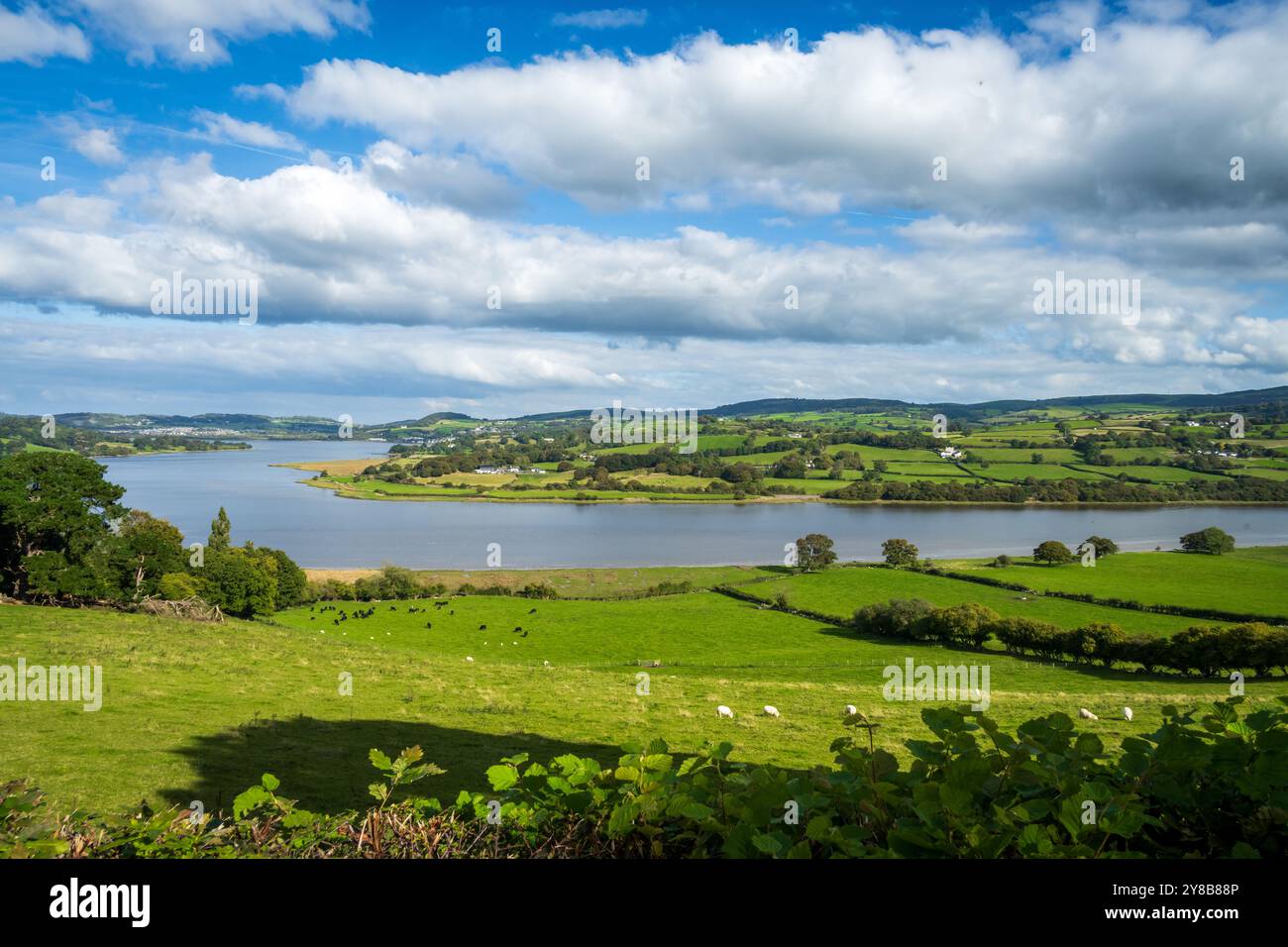 L'estuario del fiume Conwy. Foto Stock