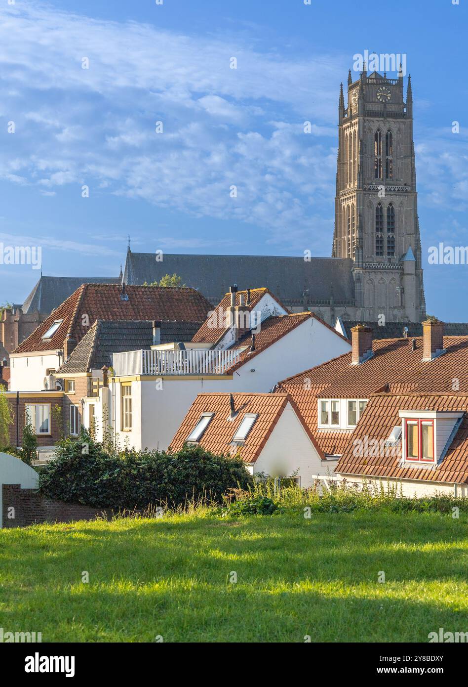 La chiesa di San Martino di Zaltbommel è uno degli esempi meglio conservati di stile architettonico tardo gotico renano inferiore. Foto Stock