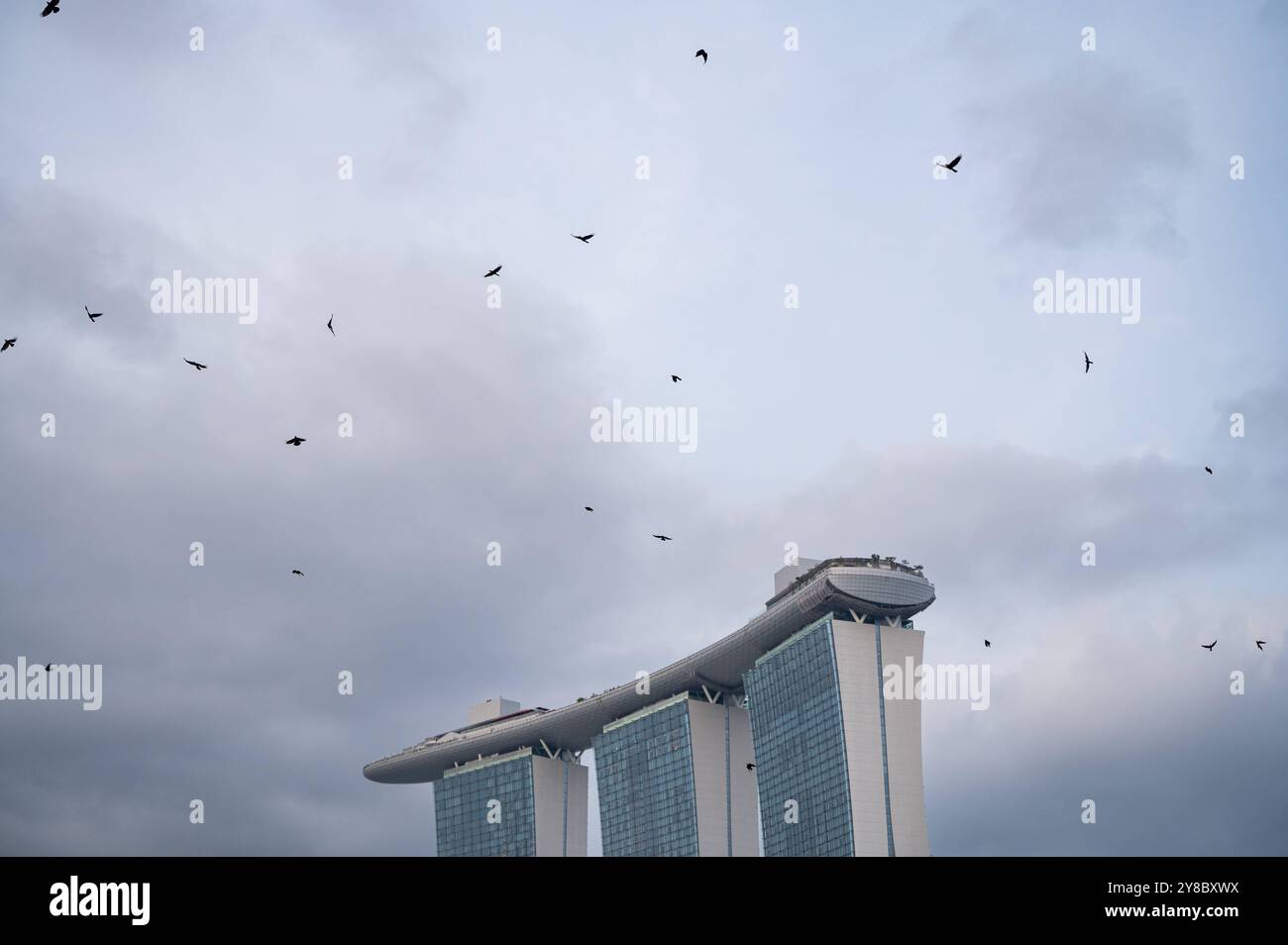 29.07.2023, Singapur, Republik Singapur, Asien - Kraehen fliegen ueber das Marina Bay Sands Hotel mit seinen drei Tuermen und Seiner geschwungenen Dachterrasse. *** 29 07 2023, Singapore, Repubblica di Singapore, Asia Crows sorvolano il Marina Bay Sands Hotel con le sue tre torri e la terrazza sul tetto curva Foto Stock