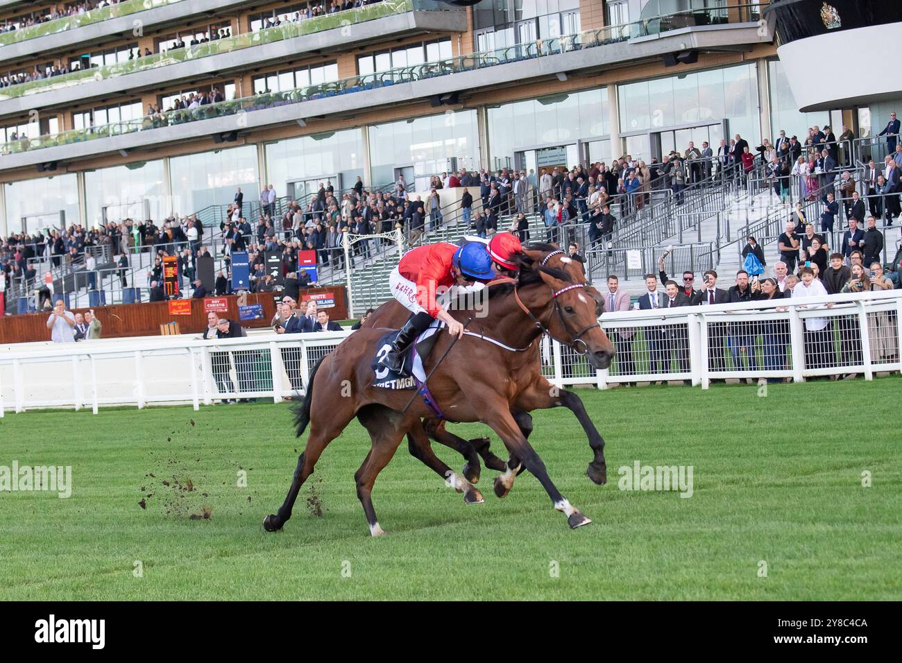 Ascot, Berkshire, Regno Unito. 4 ottobre 2024. IL RUSSO CRESCENDO guidato dal fantino Tom Marquand vince il BetMGM Novice Stakes (Classe 3) (GBB Race) all'Ascot Racecourse nel Berkshire al BetMGM Autumn Friday Raceday. Proprietario Cheveley Park Stud, allenatore William Haggas, Newmarket, allevatore e sponsor Cheveley Park Stud Limited. Crediti: Maureen McLean/Alamy Live News Foto Stock