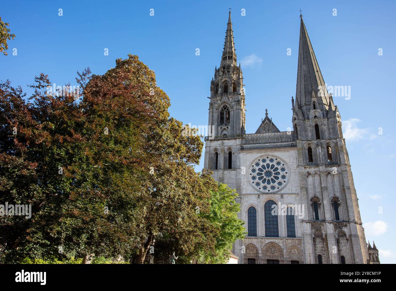 Cattedrale di Notre Dame de Chatres, Francia Foto Stock