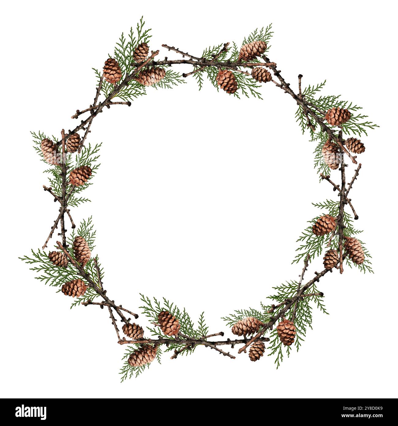 Corona di Natale. Telaio rotondo in rami secchi con coni e rami di tuja pressati a secco. Foto Stock