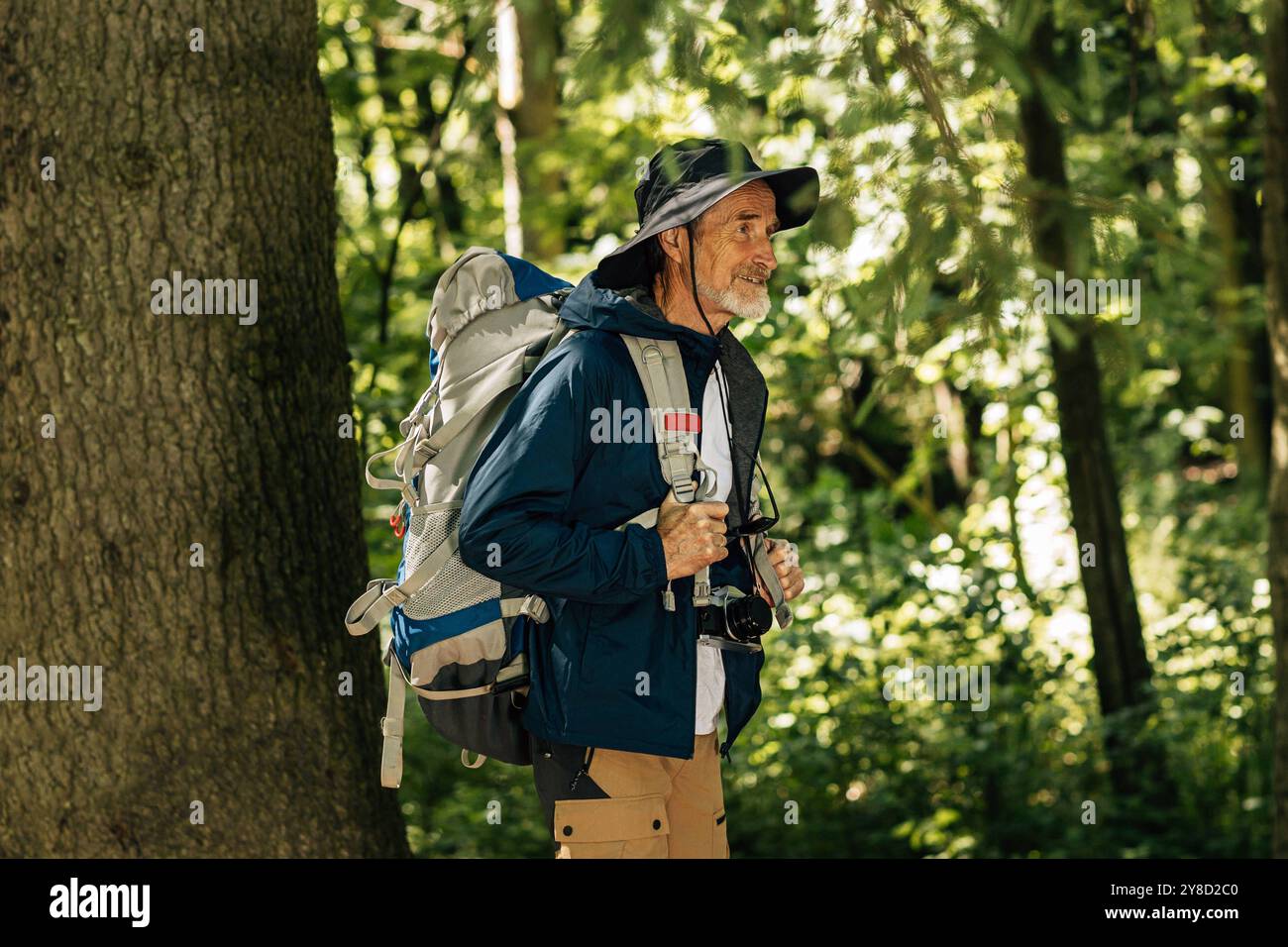 Uomo anziano con zaino e abiti da trekking che camminano nella foresta uomo anziano con zaino e abiti da trekking che camminano nella foresta Copyright: XxArtemxVarni Foto Stock