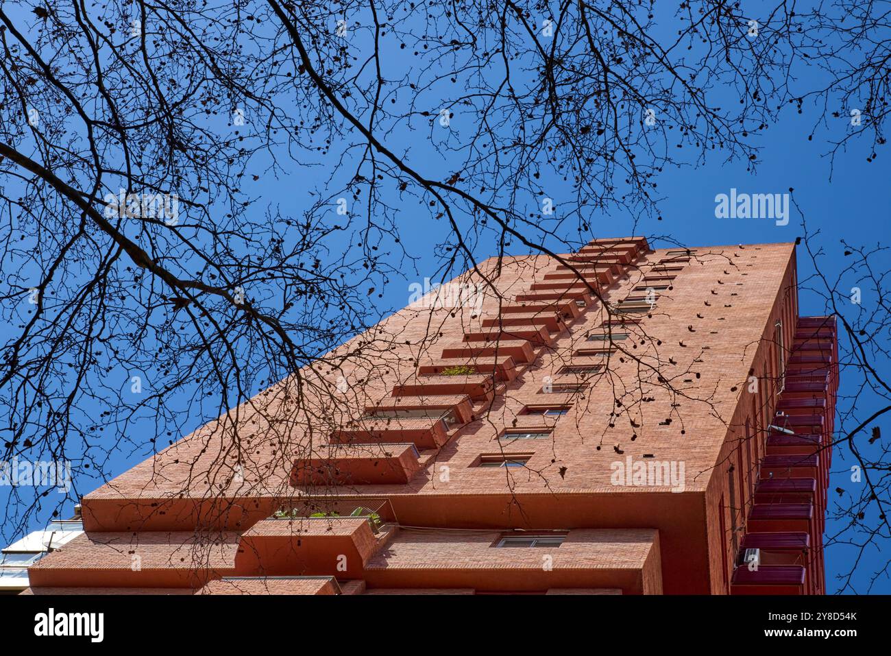 Riprese ad angolo basso di grattacieli residenziali in mattoni rossi con balconi e bordi chiari, con alberi ben definiti e privi di foglie che incorniciano l'immagine Foto Stock