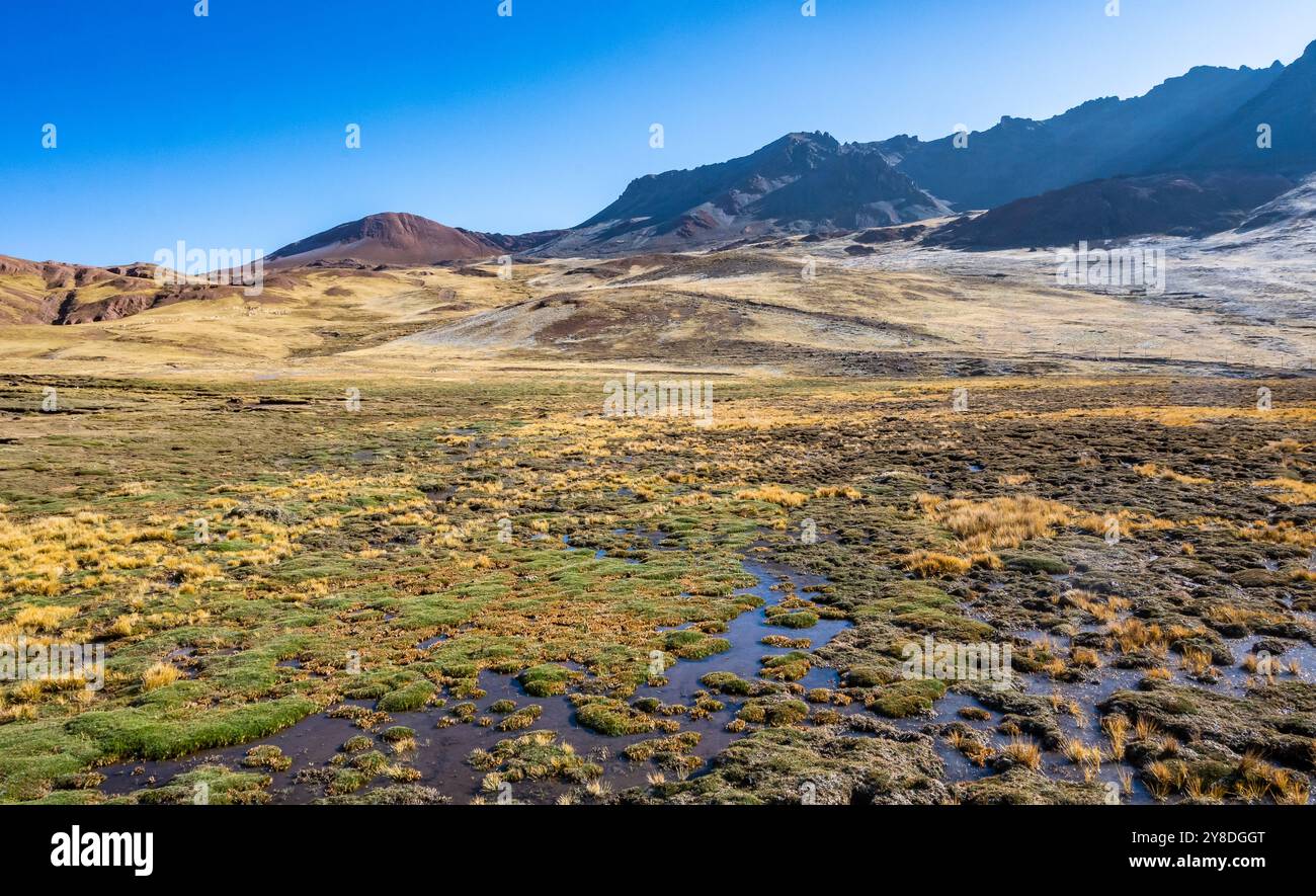 Zone umide nelle alte Ande. Perù, Sud America. Foto Stock