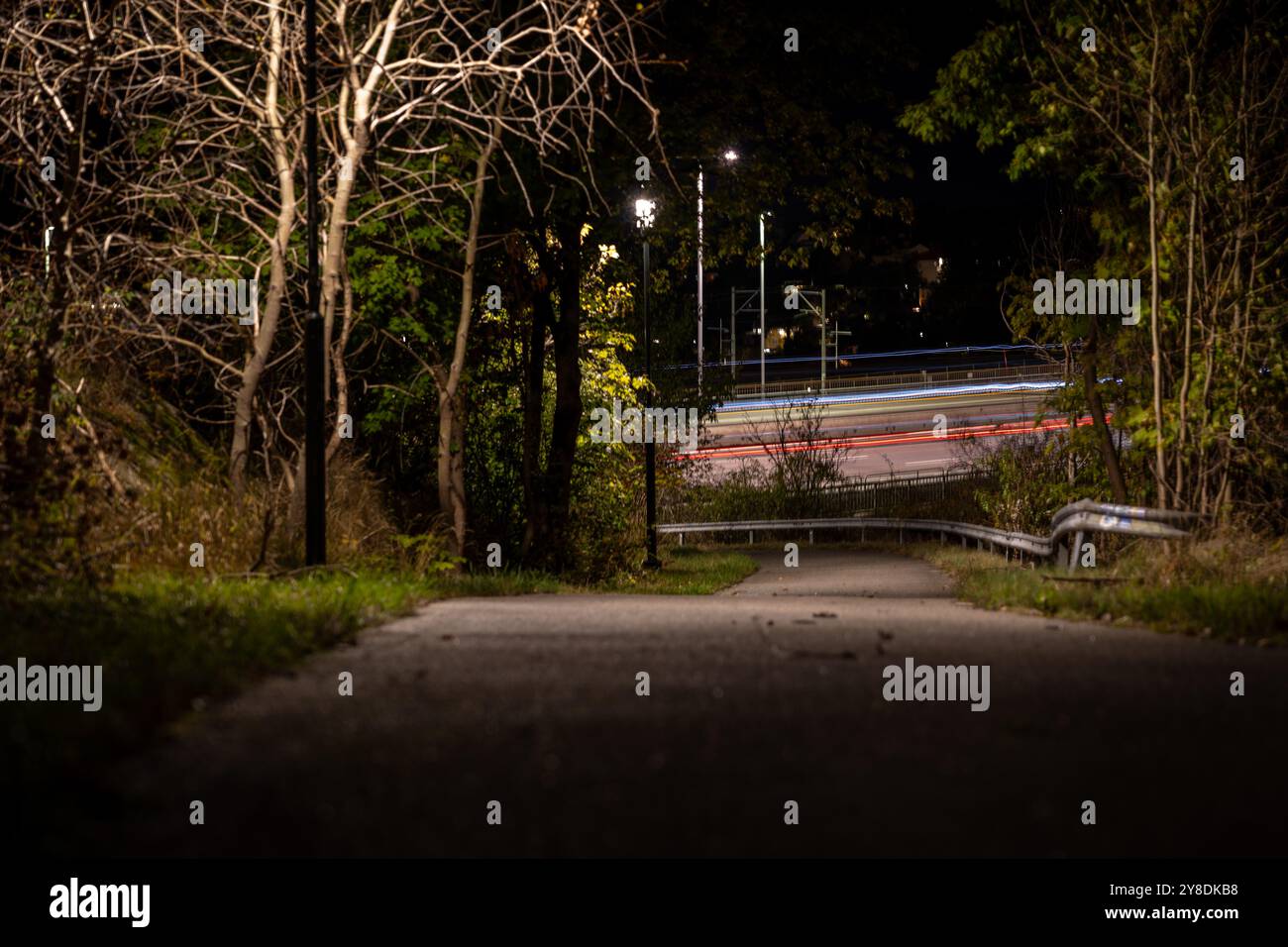 Un sentiero poco illuminato attraverso un'area boschiva di notte, con luci auto sfocate sullo sfondo. Foto Stock