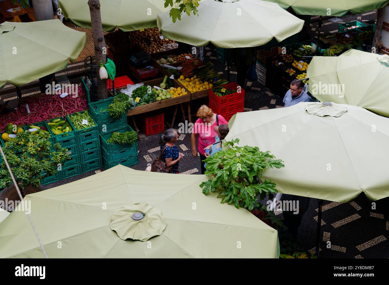 Vivace scena al mercado dos lavradores, Funchal, con prodotti colorati e conversazioni sotto ombrelli verdi Foto Stock