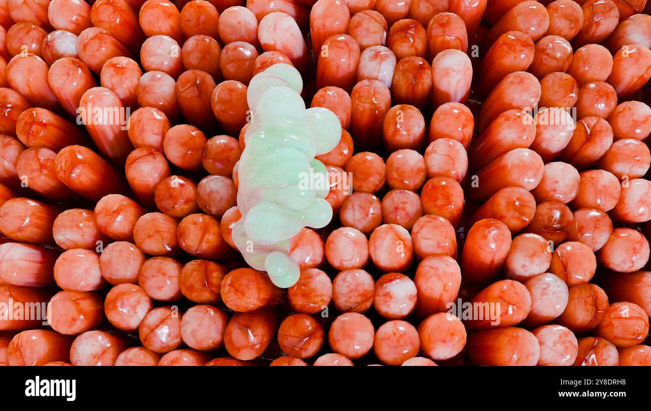 Digestione degli alimenti nella parete dell'intestino tenue, assorbimento di nutrienti, carboidrati e aminoacidi e lipidi nei capillari microvilli, cellule epiteliali, limp Foto Stock