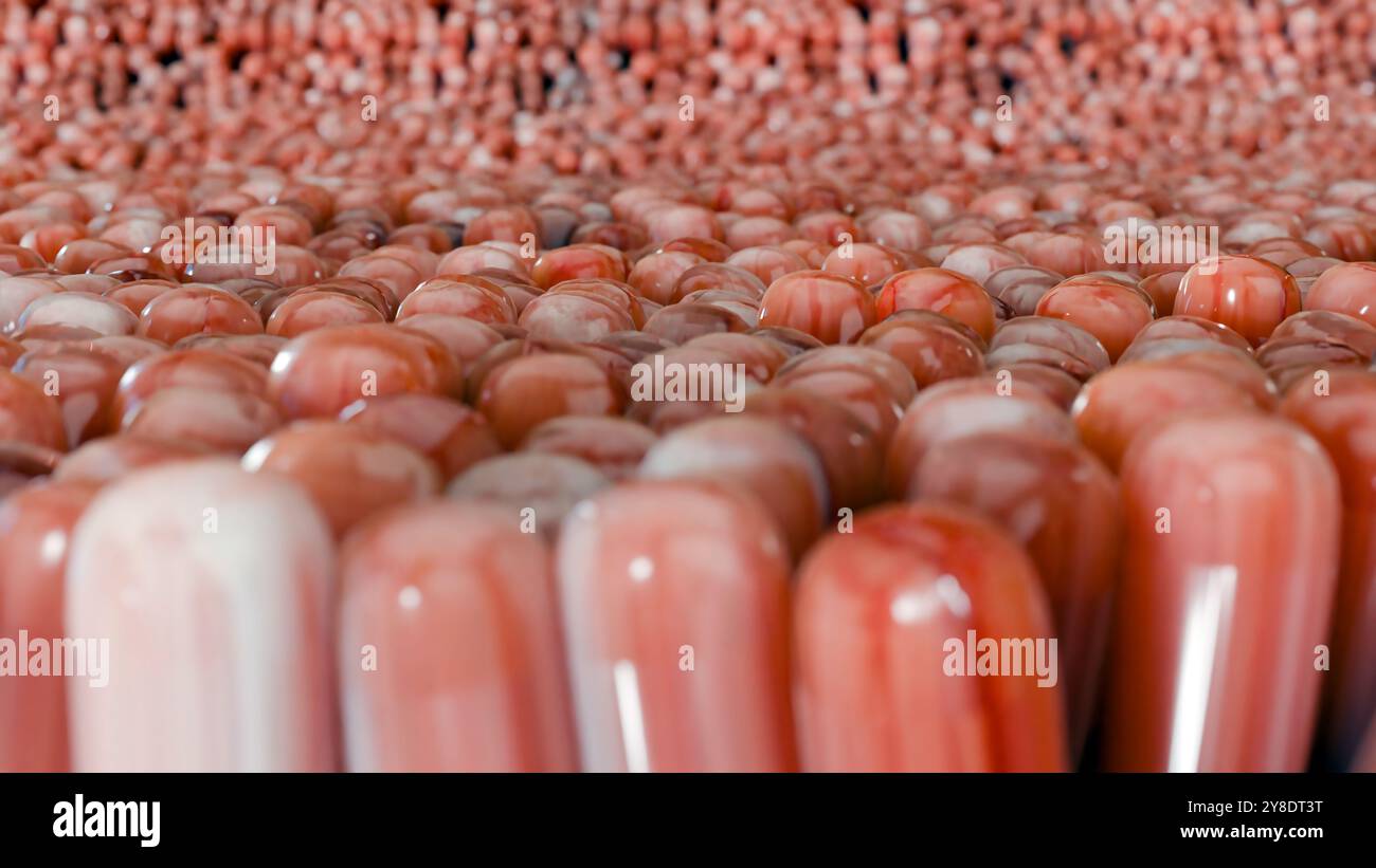 Digestione degli alimenti nella parete dell'intestino tenue, assorbimento di nutrienti, carboidrati e aminoacidi e lipidi nei capillari microvilli, cellule epiteliali, limp Foto Stock