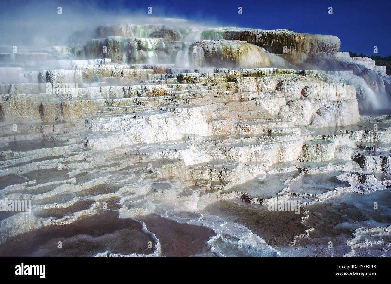 Minerva Terrace a Mammoth Hot Springs, Wyoming Foto Stock