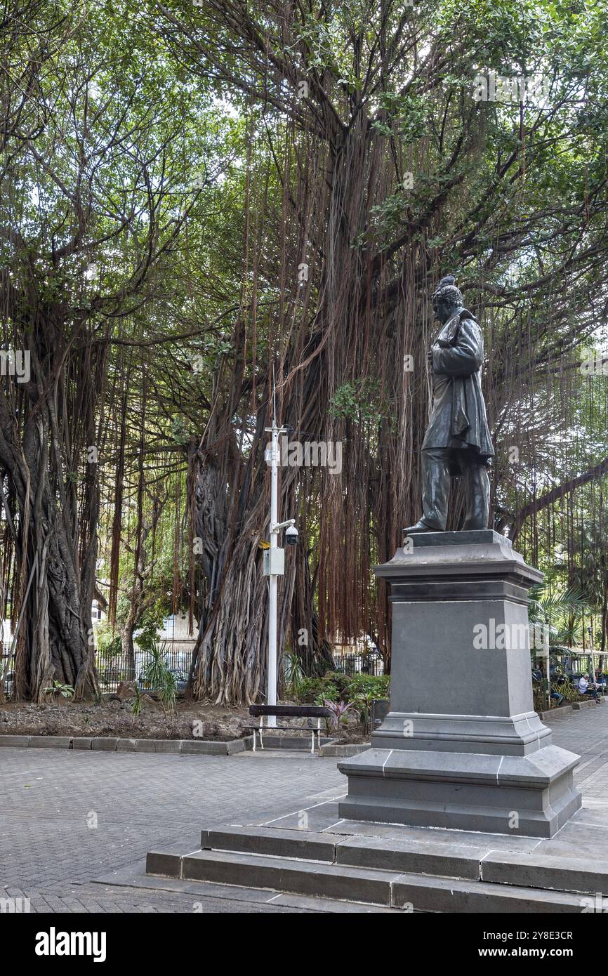 Parco, giardino, Les Jardin de la compagnie, alberi Bayan giganti, Banyan Tree (Ficus benghalensis), Port Louis, Oceano Indiano, isola, Mauritius, Africa Foto Stock