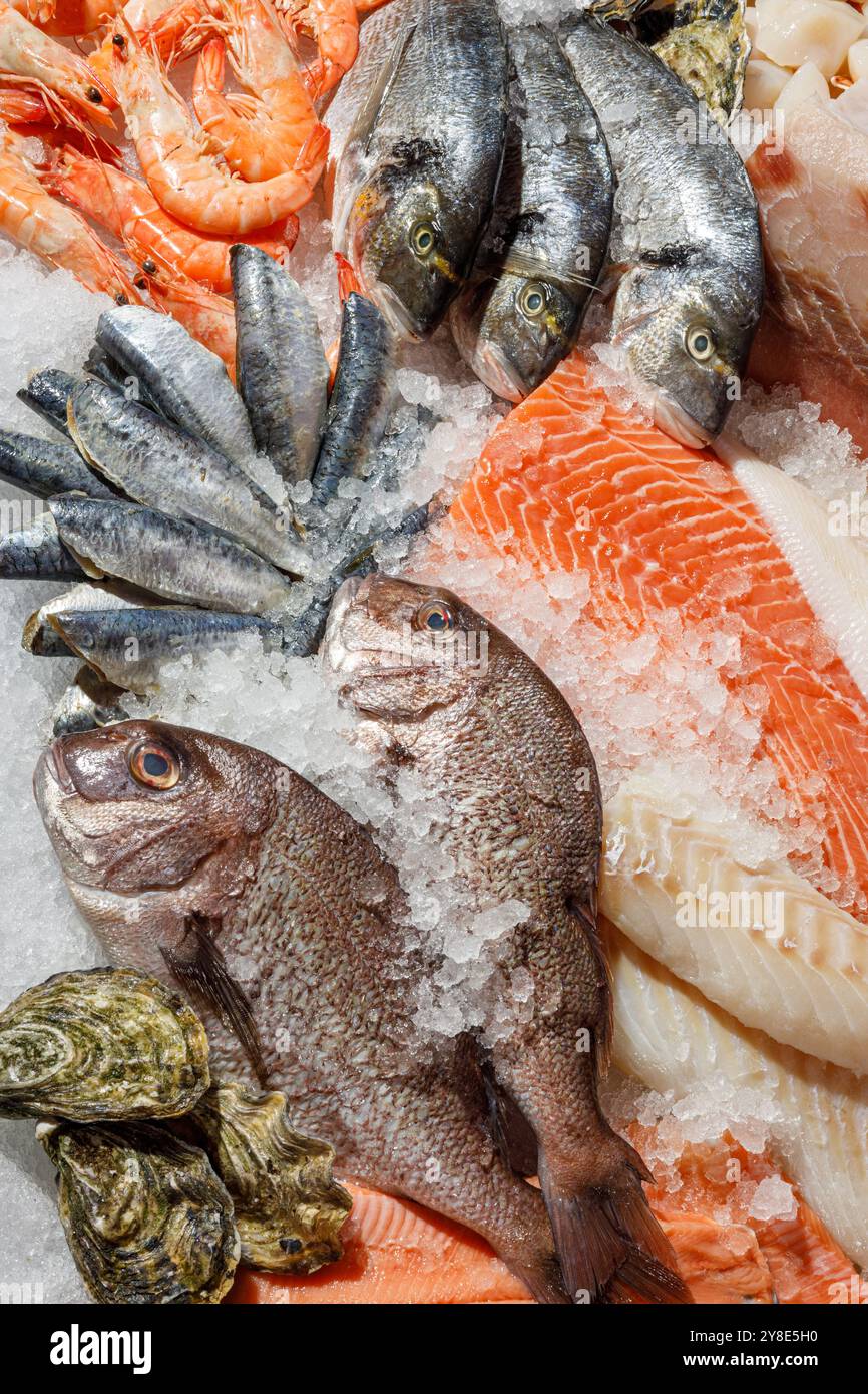 Un assortimento di pesce fresco su ghiaccio ben organizzato per una presentazione di mercato impressionante Foto Stock